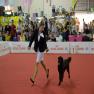 images/Immagini/I_miei_cani/Crazy/Crazy4.jpg